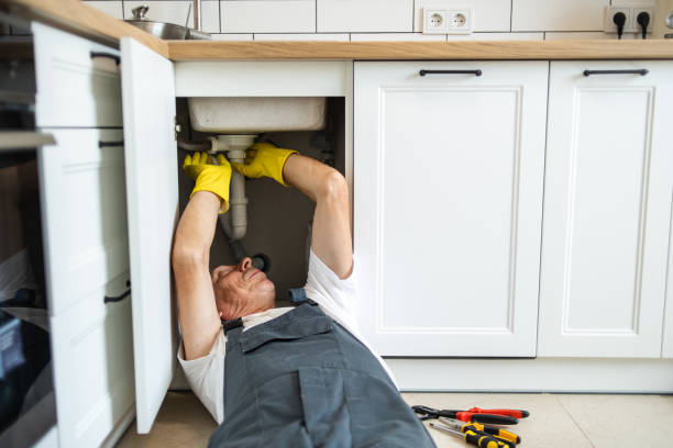 Best Sprinkler Systems  in Heathrow, FL